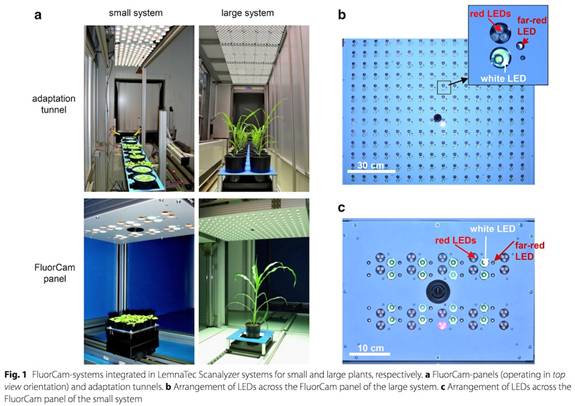 ../../../產(chǎn)品技術/熒光技術/PSI/Phenotyping/參考文獻/PlantScreen參考文獻/IPK-2017/0101－sm.jpg